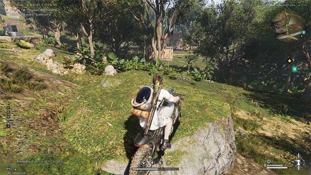 Dựng trại trong rừng là một sự lựa chọn lý tưởng