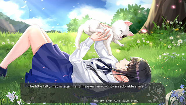 Nhận nuôi 1 chú mèo hoang và bắt đầu chuyến phiêu lưu đầy bất ngờ với My Fair Cat Snow