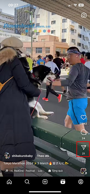 cach dung snapsave de tai video Instagram 2*469090