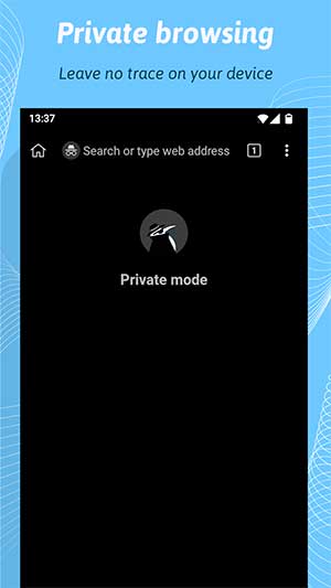 Duyệt web ẩn danh