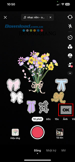 Flower Language TikTok 5*470970