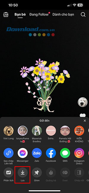 Flower Language TikTok 8*470971