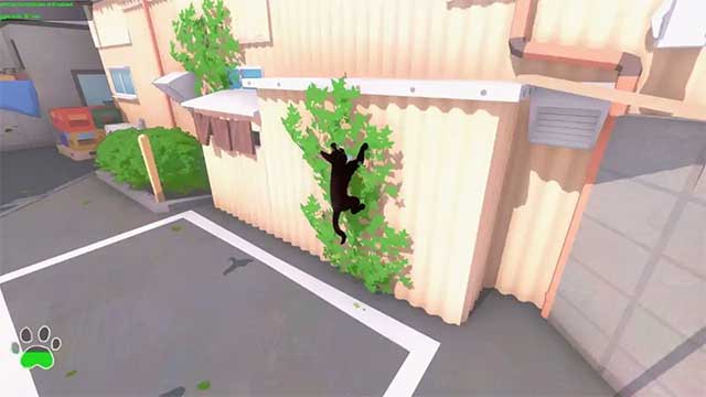 Bạn càng nhận được nhiều Stamina thì mèo càng leo được cao hơn