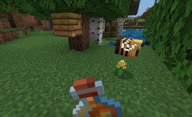 Tiếp cận tổ ong