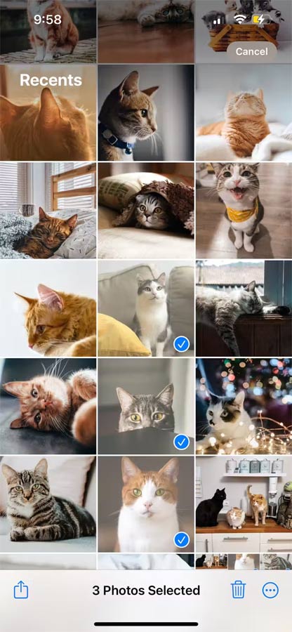 Bộ sưu tập ảnh