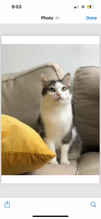 Hoàn tất chuyển đổi sang PDF