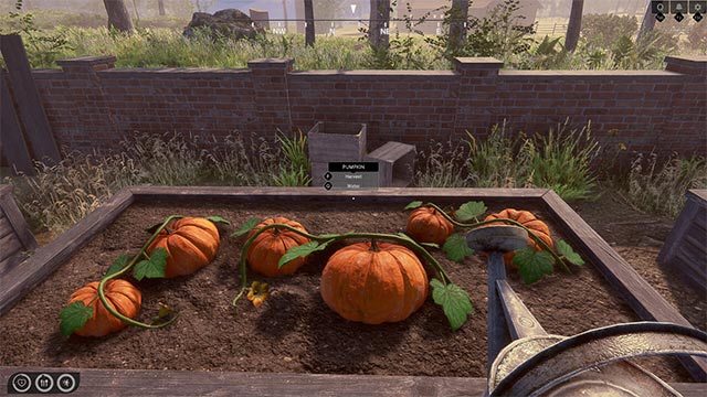 Dành phần lớn thời gian để trồng trọt, chăn nuôi, nấu ăn, câu cá... và nhiều hoạt động thú vị khác