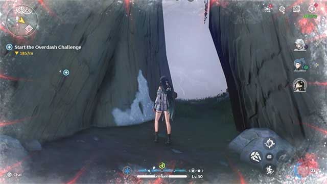 Xoay camera sang phải, bạn sẽ tìm thấy lối vào hang ổ của Feilian Beringal boss