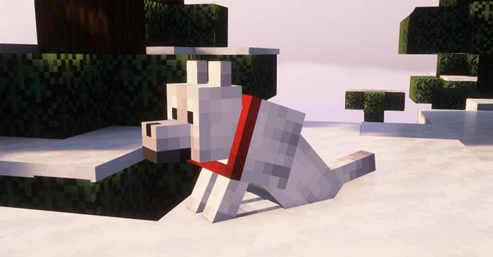 Vị trí & độ hiếm của tất cả biến thể sói trong Minecraft