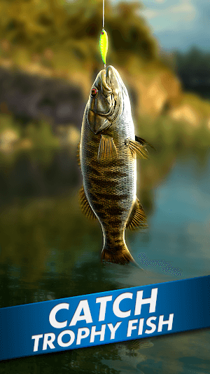 Trải nghiệm câu và bắt các loài cá đa dạng trong game Ultimate Fishing! Fish Game
