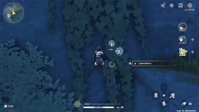 Thu thập Lanternberry ở Tiger's Maw Mine