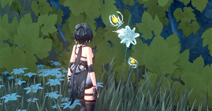 Lanternberry giúp nâng cấp cho hai nhân vật Baizhi và Jianxin