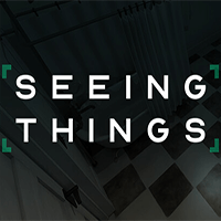 Seeing Things