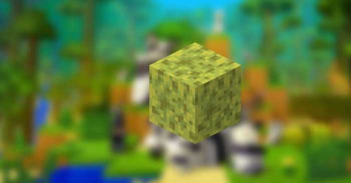 Bọt biển trong Minecraft