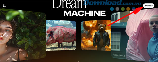 Ấn vào nút Try Now ở góc trên bên phải trang web.