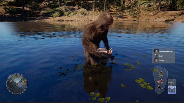 Cùng quái vật chân lớn Bigfoot sinh tồn trong rừng sâu với game mô phỏng Bigfoot Life