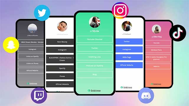 Người dùng nhấp vào liên kết Linktree để đi đến các tài khoản khác của người lập