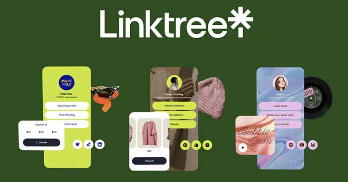 Mọi người thường đặt Linktree trong phần mô tả hồ sơ trên Instagram, TikTok,...