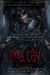 Ma cây