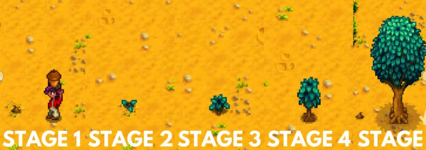 Các giai đoạn phát triển của cây sồi trong Stardew Valley