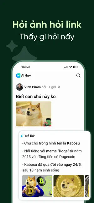 Hỏi link