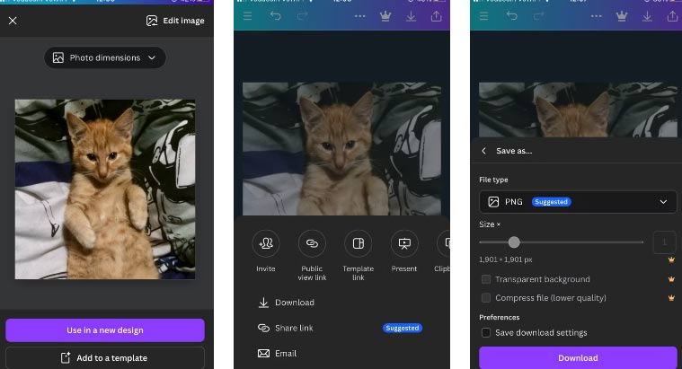 Chuyển đổi file ảnh trên Canva