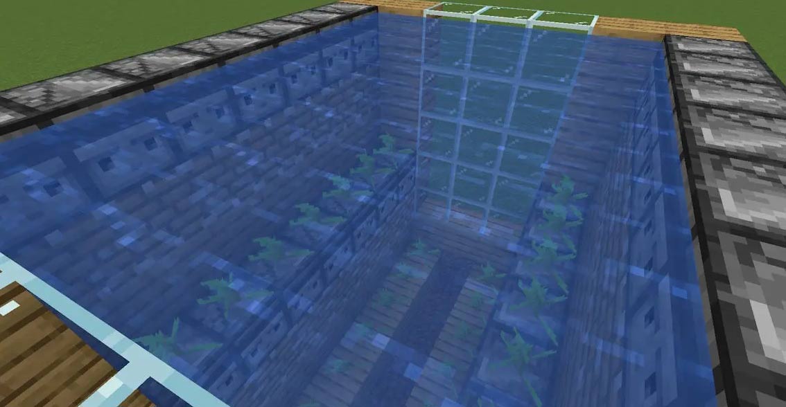 Lớp bổ sung cho máy farm tảo bẹ