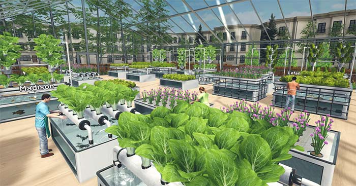 Hydroponics Farm & Store SimulatorGame mô phỏng trồng thủy canh và bán hàng