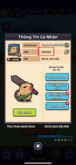 code capybara go 2*492374