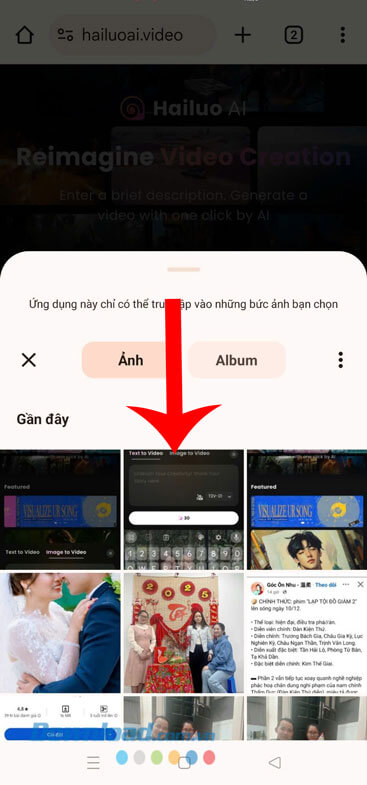 Chọn một bức ảnh bất kỳ