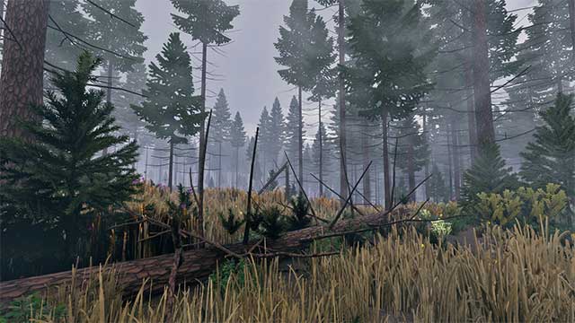 Trò chơi này thách thức game thủ khám phá giới hạn của mình