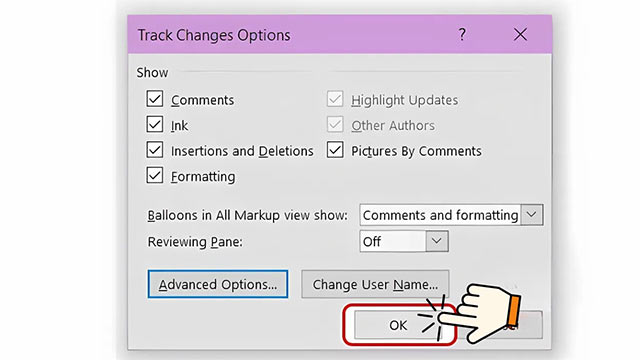 Track Changes Options