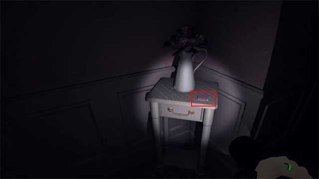 Lấy Cartridge trên bàn cạnh chậu hoa