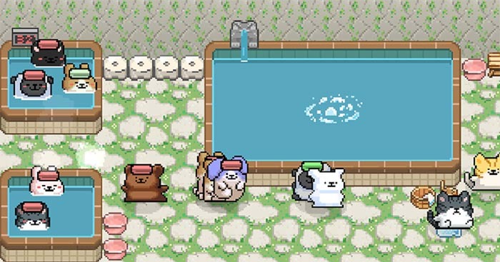 Maltese's Fluffy Onsen