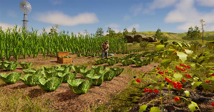 Farm & Store SimulatorGame mô phỏng 'từ trang trại đến bàn ăn'