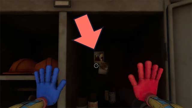 Hai bức ảnh mèo của Developer bên trong tủ đồ