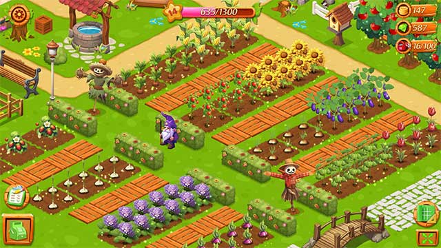 Trồng dâu tây, bí ngô, hoa hướng dương và nhiều loại nông sản khác