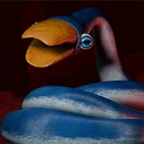 🖼️