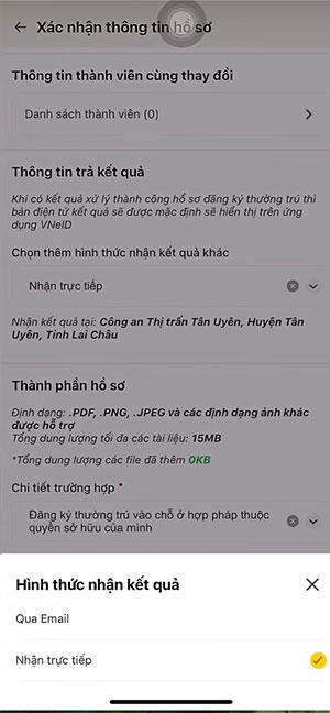 cach nhap khau vo ve nha chong tren vneid 10*513183