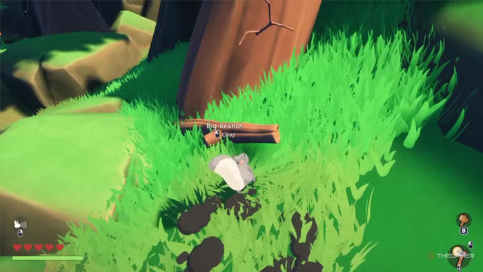 Các vật liệu xây dựng trong Squirreled Away