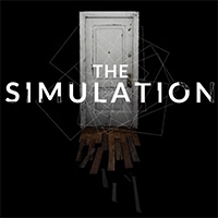 The Simulation