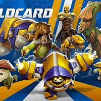 Wildcard