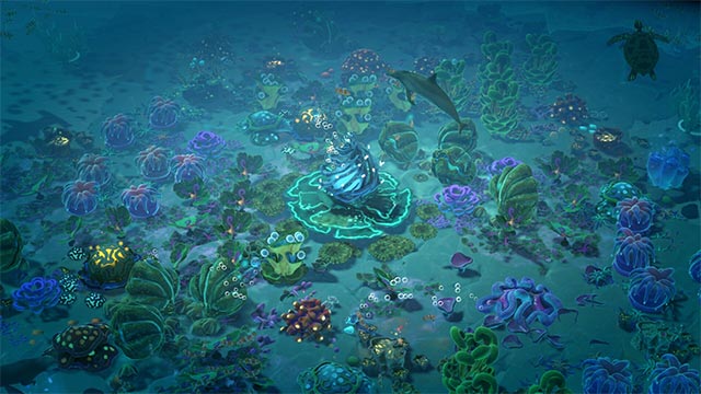 Chế tạo mồi nhử để thu hút hơn 40 loài sinh vật đến với rạn san hô