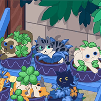 Meows Farm