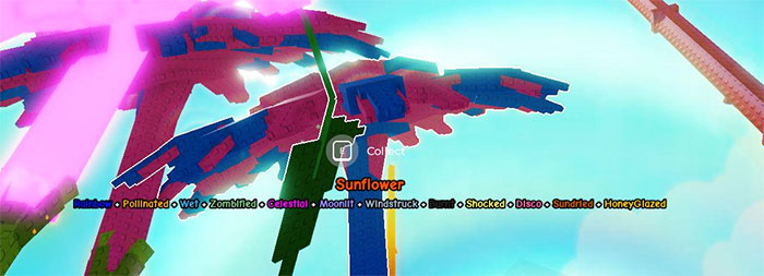 Một cây Sunflower được xếp chồng nhiều đột biến cùng lúc