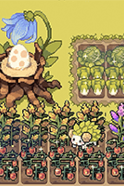 🖼️