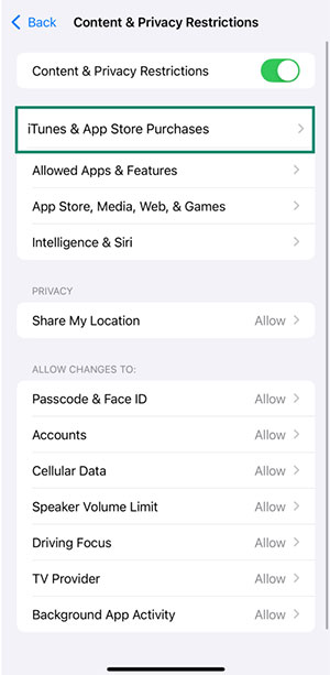 thiet lap kiem soat cua phu huynh tren ipad cua con 14*525784
