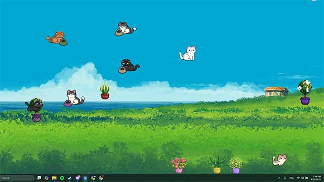 Cuddle Corner Game hỗ trợ nhiều loài vật khác nhau như mèo, thỏ, nhím,... 