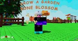 🖼️