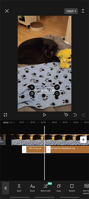 app tu dong them phu de vao video 2*526391